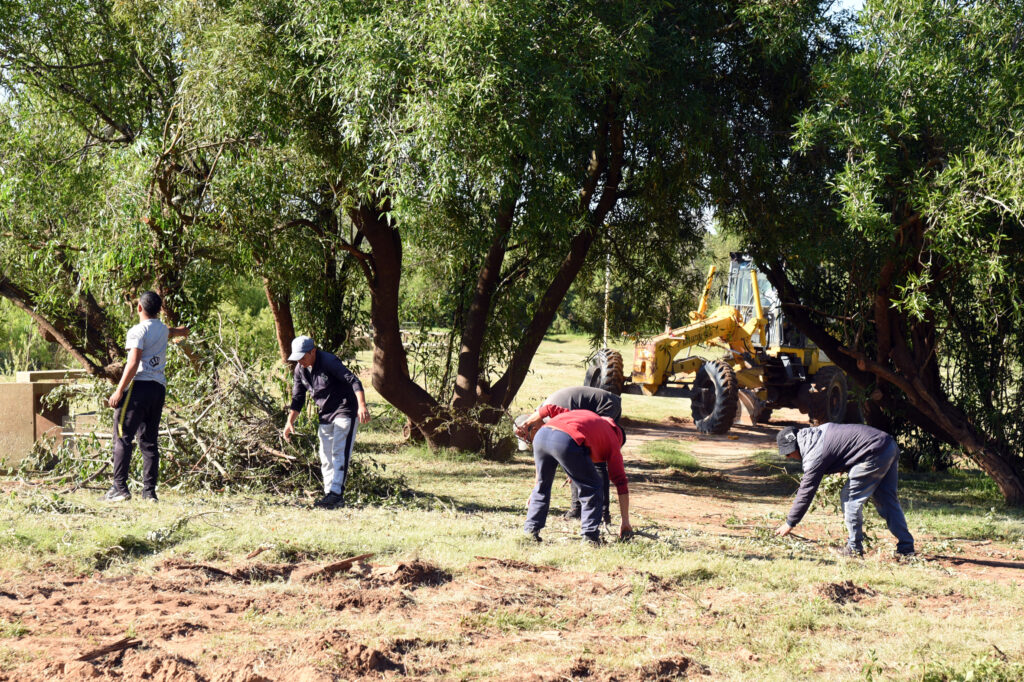 Obreros trabajando en el sector de verdes con sus manos y màquinas