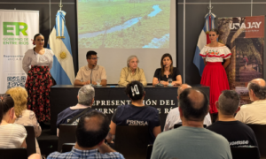 En la Sala de actos y prensa de la Casa de Entre Rìos, su Director; la Intendente de Ubaja; demàs autoridades; artistas; periodistas y público en general.