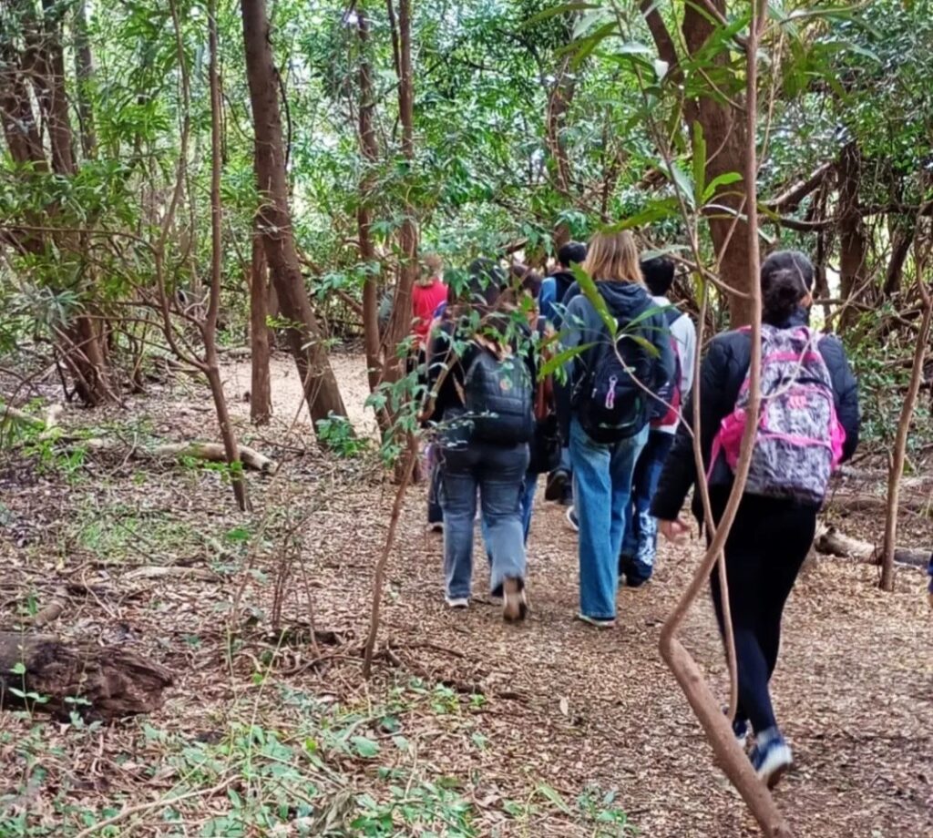 Personas caminando entre arboleda