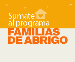 Fondo mitad amarillo, mitad blaco se lee: Sumate al progama Familias de abrigo
