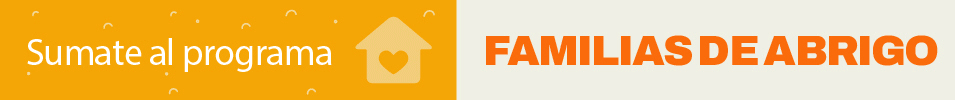 Sobre fondo naranja y blanco se lee: sumate a programa Familias de abrigo